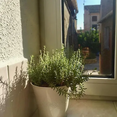 Centre Of Olonzac, 2 Bedrooms & Private Sunny Rooftop Terrace * Olonzac